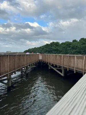 a wooden bridge over a body of water at CARIBE STAY - Apto in Barranquilla
