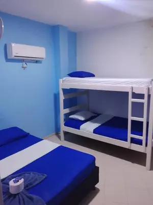 two bunk beds in a room with blue walls at Hotel Palma Azul in Coveñitas