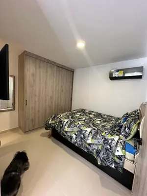 a bedroom with a bed and a cat laying on the floor at Apartamento a 5 min del cc Buena Vista in Barranquilla