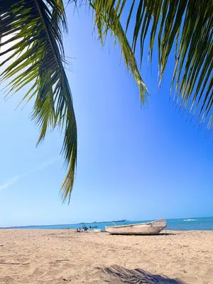 a palm tree and a boat on the beach at Modern Balcony Apartment with Sea View! in Santa Marta