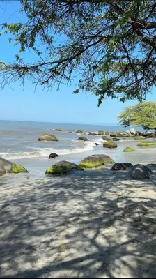 a beach with rocks and the ocean with a tree at Horizonte Infinito - Calidez frente al mar Santa Marta in Santa Marta