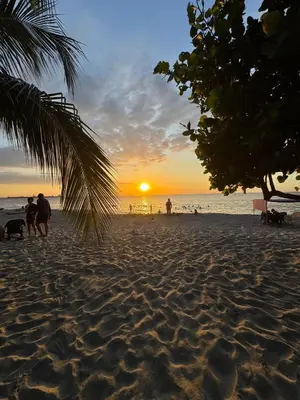 a sunset on a beach with a palm tree at Santa Marina Caribbean Dreams in Santa Marta