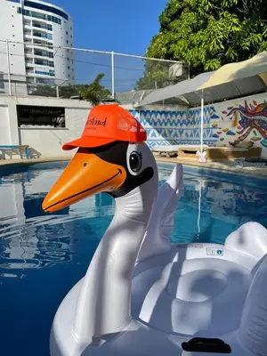 a duck wearing an orange hat in a pool at Wonderland Cartagena in Cartagena de Indias