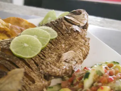 a lizard is sitting on a plate with food at Hotel Y Restaurante La Quinta in Cartagena de Indias