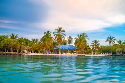 a resort on a beach with palm trees and the water at Quinta del Mar Tintipán in Isla Mucura