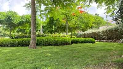 a park with green grass and trees and bushes at Holiday Inn Express - Barranquilla Buenavista by IHG in Barranquilla