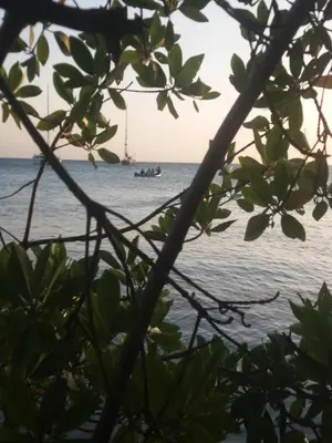 a boat in the ocean behind a tree at Ecohotel Arte y Aventura in Isla Grande
