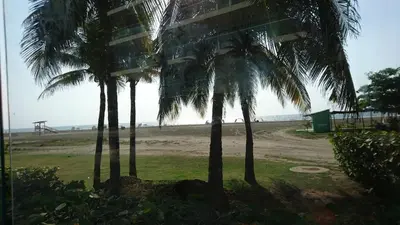 a group of palm trees in front of a beach at Apartasuite Morros Vitri in Cartagena de Indias
