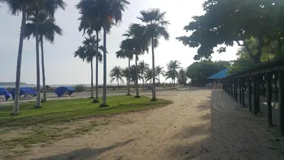 a dirt road with palm trees on a beach at Apartamento 1904 El Laguito in Cartagena de Indias