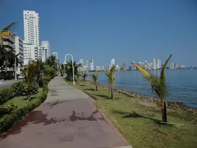 a sidewalk with palm trees next to a body of water at Edificio Nuevo Conquistador in Cartagena de Indias