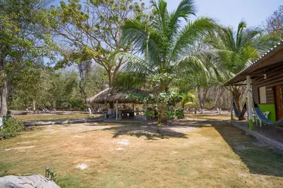 a house with a thatch roof in a yard at Eco Hotel Bosque Encantado in Isla Grande