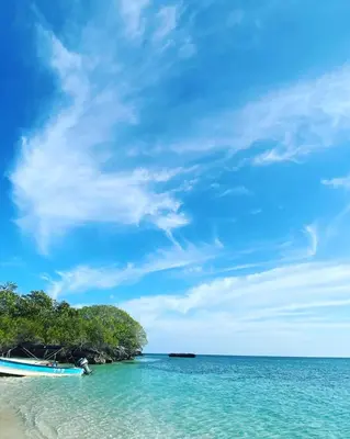 a beach with a boat in the water at Eco Hotel Las Palmeras in Isla Grande