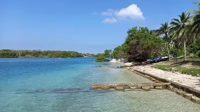 a body of water with palm trees and a beach at ECOHOTEL LAS FLORES Econativo in Isla Grande