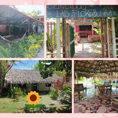 ECOHOTEL LAS FLORES Econativo