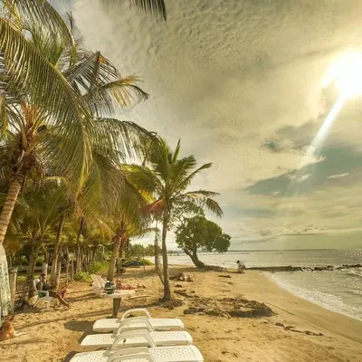 a beach with palm trees and white lounge chairs at Green Coveñas by Bernalo Hotels in Coveñas