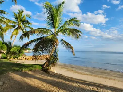 a beach with two palm trees and the ocean at Condominio Milagros Coveñas in Coveñas