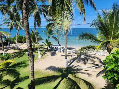 a view of a beach with palm trees and the ocean at Condominio Milagros Coveñas in Coveñas