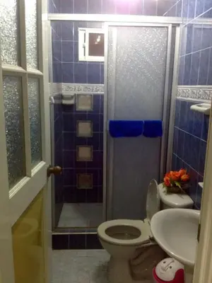 a bathroom with a shower and a toilet and a sink at Alojamiento Arte y Salud in Cartagena de Indias