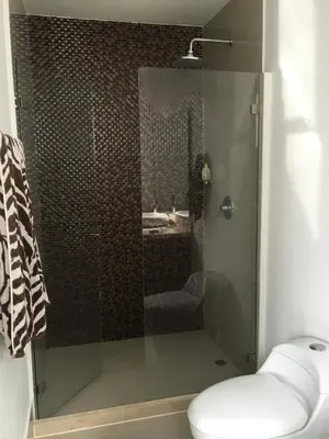 a bathroom with a shower with a toilet and a sink at Pretty Apartment in Cartagena de Indias
