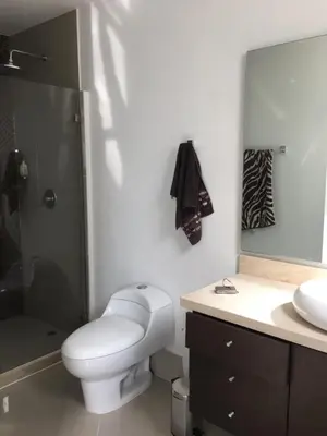a bathroom with a toilet and a shower and a sink at Pretty Apartment in Cartagena de Indias