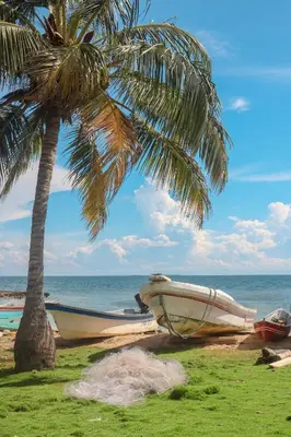 a boat on the beach next to a palm tree at Isla Múcura Dahlandia in Isla Mucura