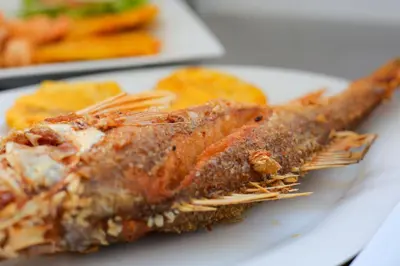 a piece of food on a plate with a fork at Awa De Mar Hotel Tolu in Tolú
