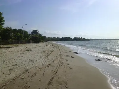 a beach with footprints in the sand and the ocean at Hostal Santa Clara in San Antero