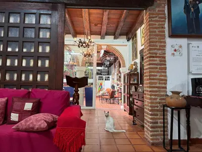 a living room with a purple couch and a cat sitting on the floor at Casa Colonial Serrezuela in Cartagena de Indias