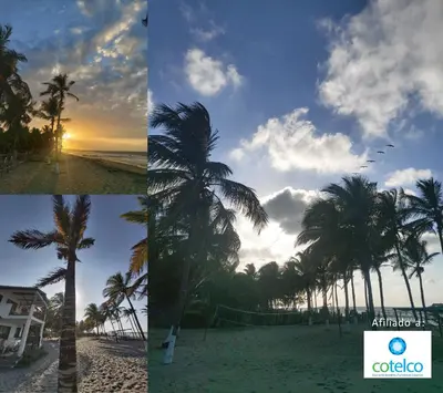 two pictures of a beach with a palm tree at Hotel Mar del Viento in San Bernardo del Viento