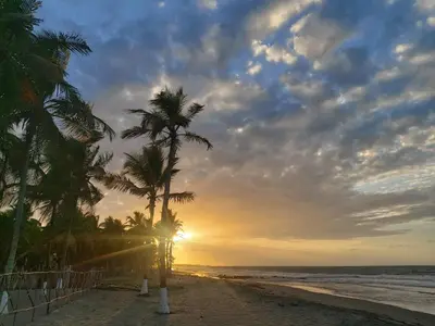 a group of palm trees on the beach at sunset at Hotel Mar del Viento in San Bernardo del Viento