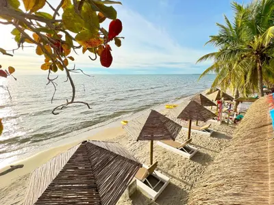 a row of beach chairs and umbrellas on a beach at Hotel Camino Verde in Tolú