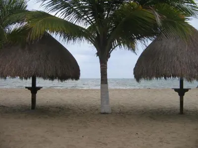 two palm trees and benches on a beach at Hostal Roldan in Coveñas