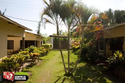 a yard with a palm tree next to a house at Hostal Roldan in Coveñas