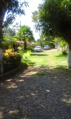 a park with cars parked in a yard with trees at Hostal Roldan in Coveñas