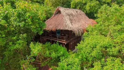 a hut with a straw roof in the middle of trees at Hotel Playa Scondida Barú in Baru