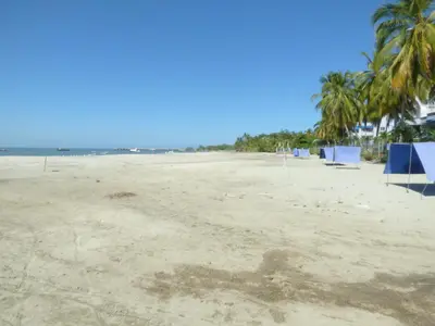 a sandy beach with palm trees and the ocean at Costa Azul Suites 906 in Santa Marta