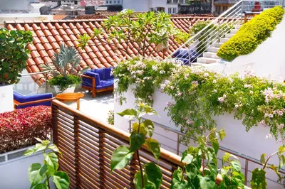 a balcony filled with lots of plants at Casa Claver Loft Boutique Hotel in Cartagena de Indias