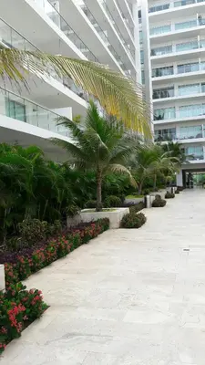 a courtyard in a building with palm trees and flowers at Morros Epic 222 in Cartagena de Indias