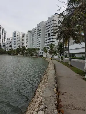 a body of water with buildings and palm trees at Edificio Marina del Rey Cartagena in Cartagena de Indias
