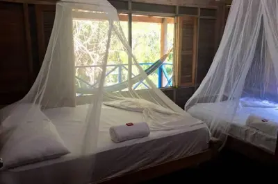 a bed with mosquito nets in a room with a window at Isla Grande Eco-Hostal in Isla Grande