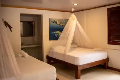 a bedroom with a bed with a net hanging from it at Isla Grande Eco-Hostal in Isla Grande