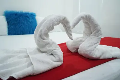 two towel swans sitting on top of a bed at Hotel Sun River in Barranquilla