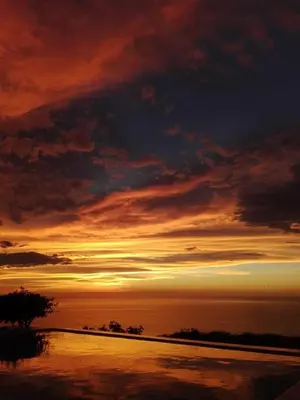 a sunset over the ocean with a tree in the foreground at Frente al Mar in Santa Veronica