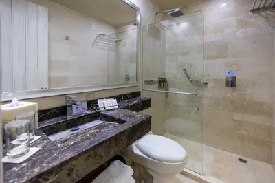 a bathroom with a sink and a toilet and a shower at Hotel Casa Canabal by Faranda Boutique in Cartagena de Indias