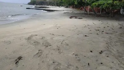 an empty beach with footprints in the sand at Casa Miramar in Santa Marta