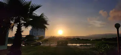 a sunset with a palm tree and a car at cabaña puerto velero in Puerto Caimán