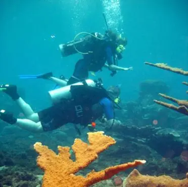 two people are diving in the ocean near reefs at Luna azul in San Bernardo del Viento