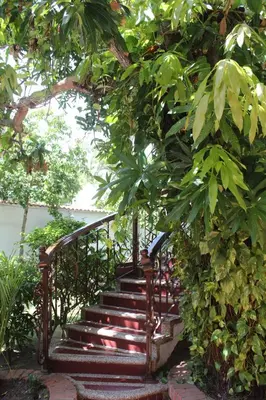 a set of stairs in a garden with trees at Hotel Casa Colonial in Barranquilla