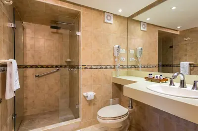 a bathroom with a shower and a toilet and a sink at Hotel Dann Cartagena in Cartagena de Indias