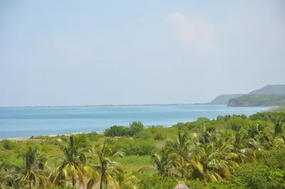 a view of the ocean and palm trees at Hotel Isla Verde in Tubará